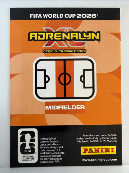Ibrahim Sangare Base Panini Adrenalyn XL FIFA World Cup 246 NM (Back)