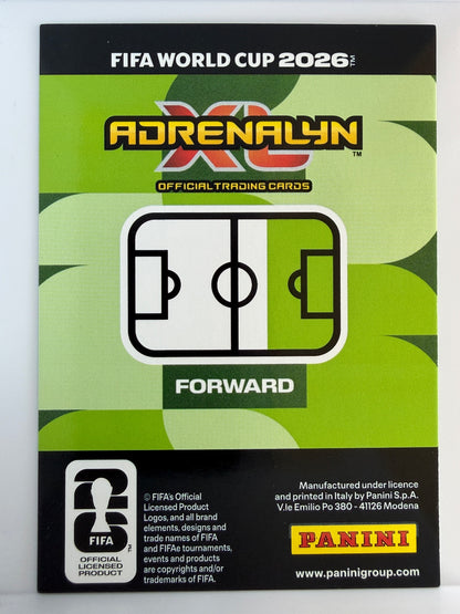 Julian Alvarez Base Panini Adrenalyn XL FIFA World Cup 22 NM (Back)