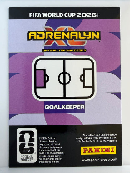 Mike Maignan Base Panini Adrenalyn XL FIFA World Cup 553 NM (Back)